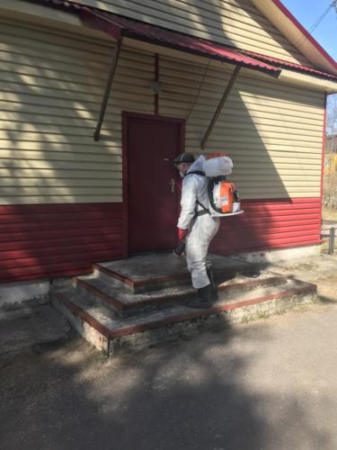 Дезинфекция в Большой Ижоре Дезинфекция в Большой Ижоре