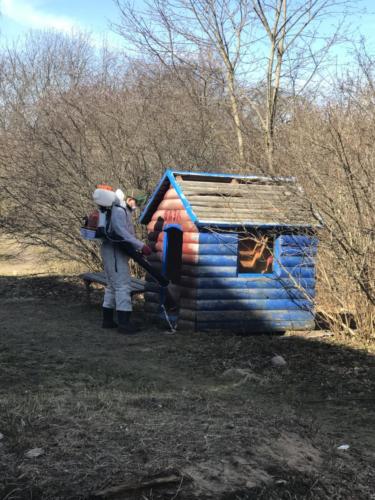Дезинфекция в Большой Ижоре Дезинфекция в Большой Ижоре