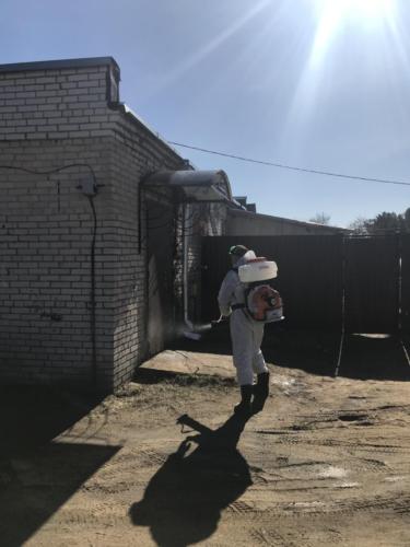 Дезинфекция в Большой Ижоре Дезинфекция в Большой Ижоре